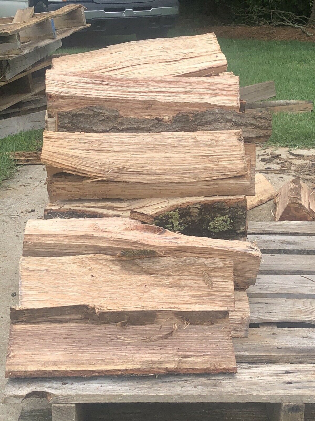 Fire Wood - Fresh Stock Dated January 2026