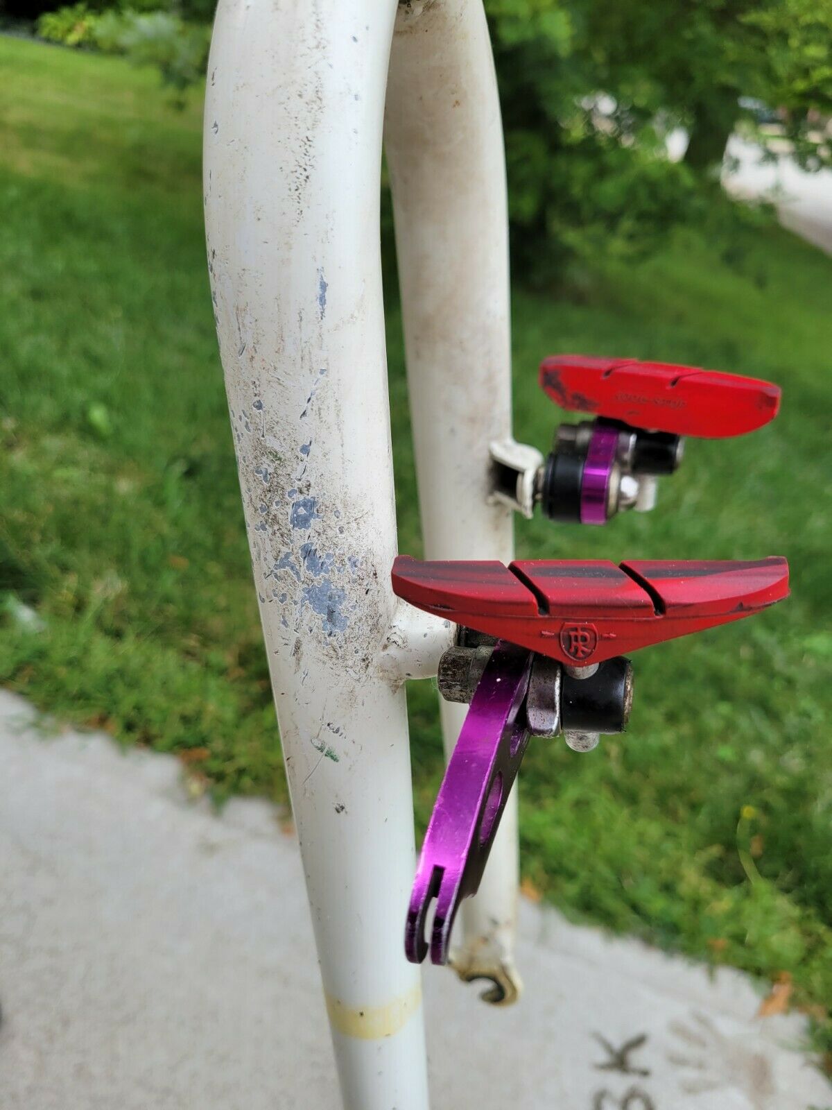 Vintage Barracuda A2R Mountain Bike Tree Amigos - Fresh Stock Dated December 2025