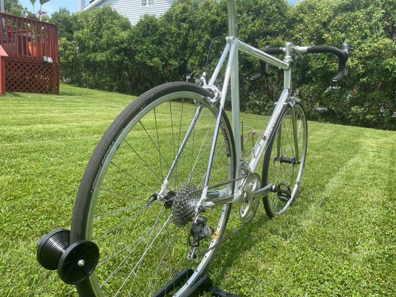 Colnago Arabesque - Fresh Stock Dated December 2025