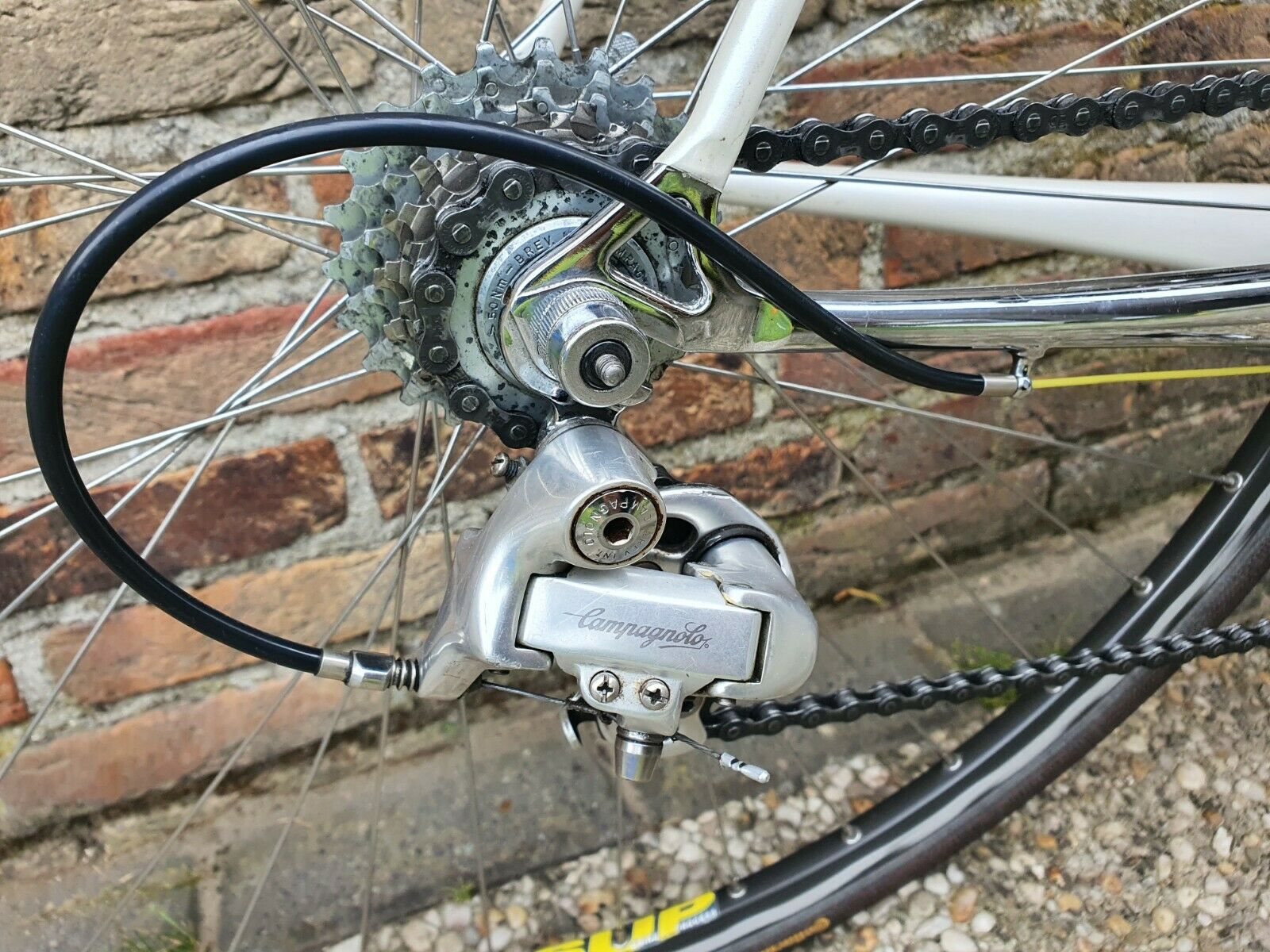 Eddy Merckx MX Leader, Campagnolo Chorus, Columbus MXL Steel Tubing. - Fresh Stock Dated December 2025