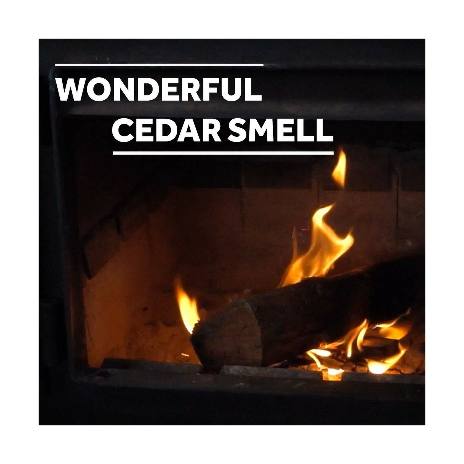 Fire Starter Kindling - 100% All-Natural Incense-Cedar Kindling - Fast, Easy ... - Fresh Stock Dated January 2026