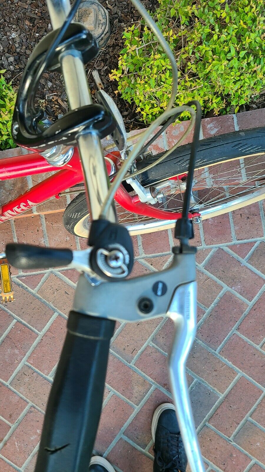 univega alpina Sport 19.5