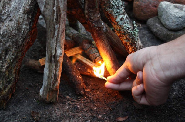 Fatwood  Firestarter Natural Pine Wood Sticks Hand Split Firewood 35 lbs Box - Fresh Stock Dated January 2026