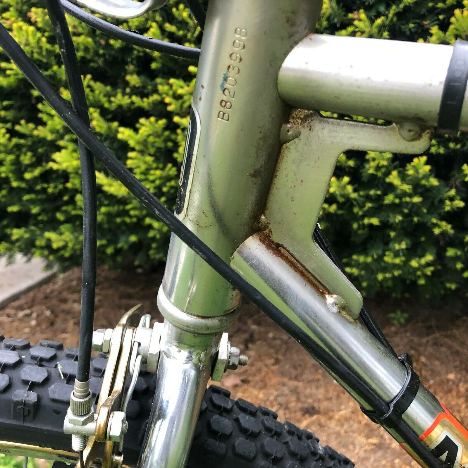 1981 Murray Baja  Mountain Bike  great working  cosmetic condition for the year - Fresh Stock Dated December 2025