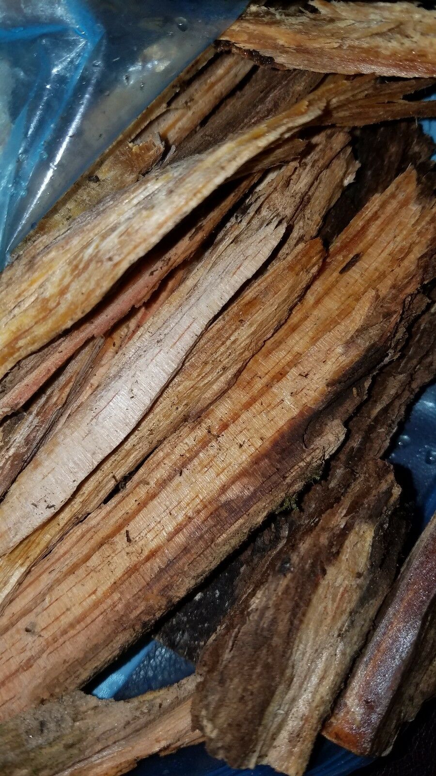 Fat lighter Kindling Fire Starters Fatwood Splints packs - Fresh Stock Dated January 2026