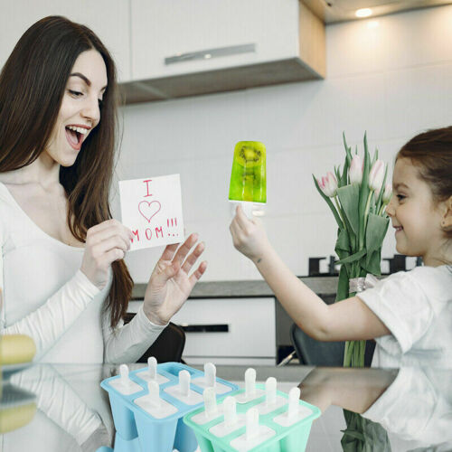6 Cell Pop Mold Popsicle Maker Lolly Mould Tray Pan Kitchen Frozen Ice Cream New - Fresh Stock Dated February 2026