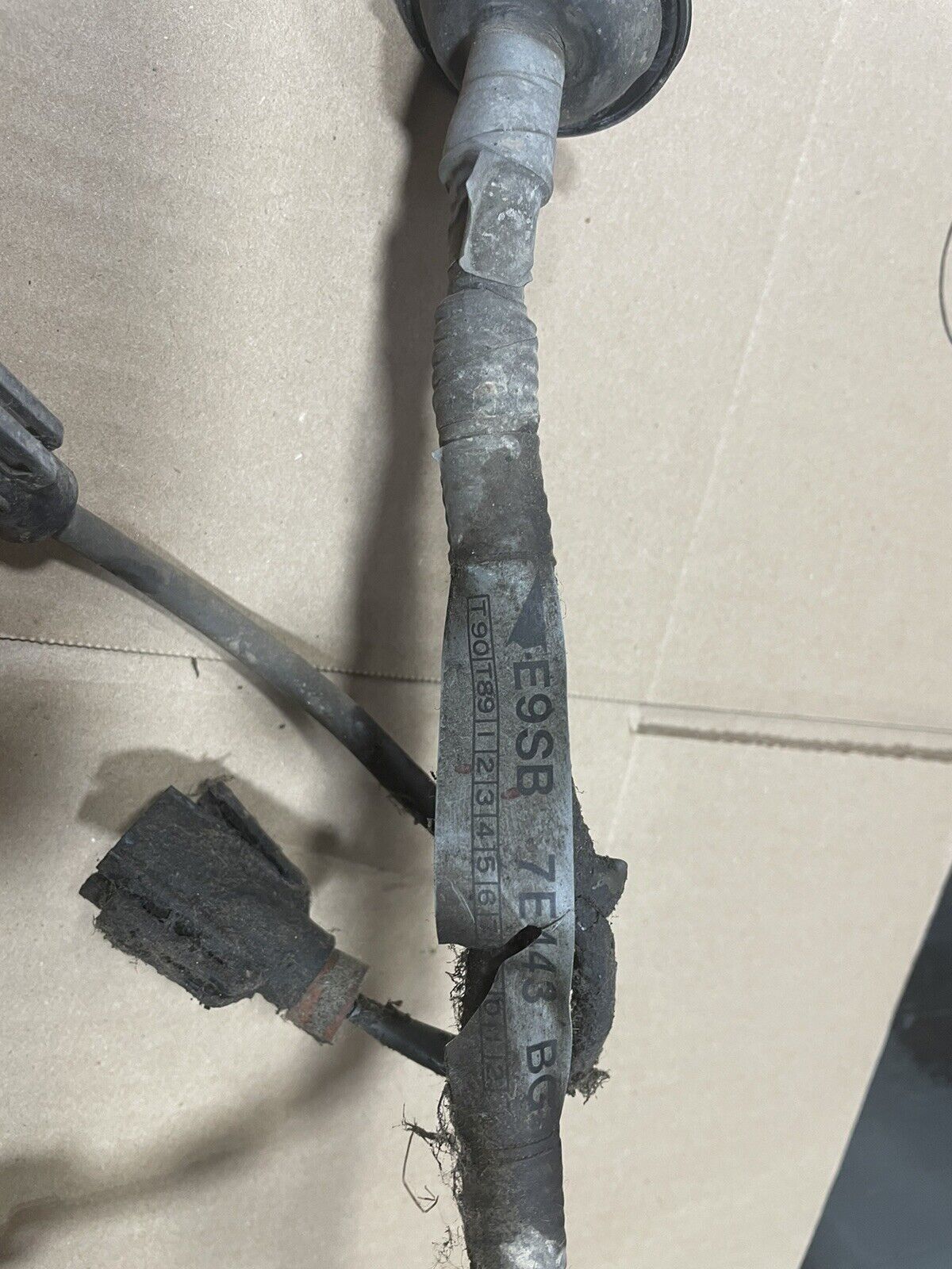 5 Speed M5R2  Transmission Harness 1989 1990 Ford Thunderbird SC Cougar Xr7 - Fresh Stock Dated January 2026