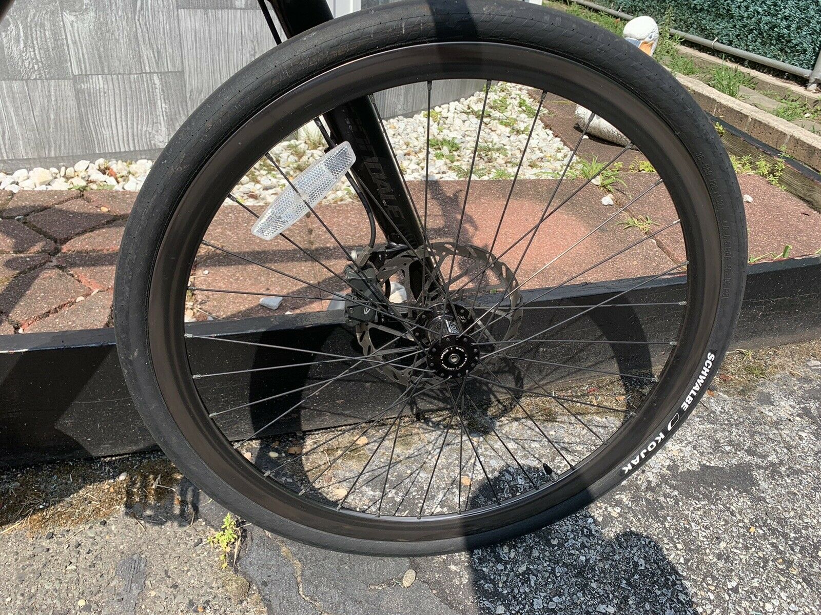 CANNONDALE OnBIKE BICYCLE RARE COLLECTIBLE SPORTS ON 250 LIMITED MODEL LARGE L - Fresh Stock Dated January 2026