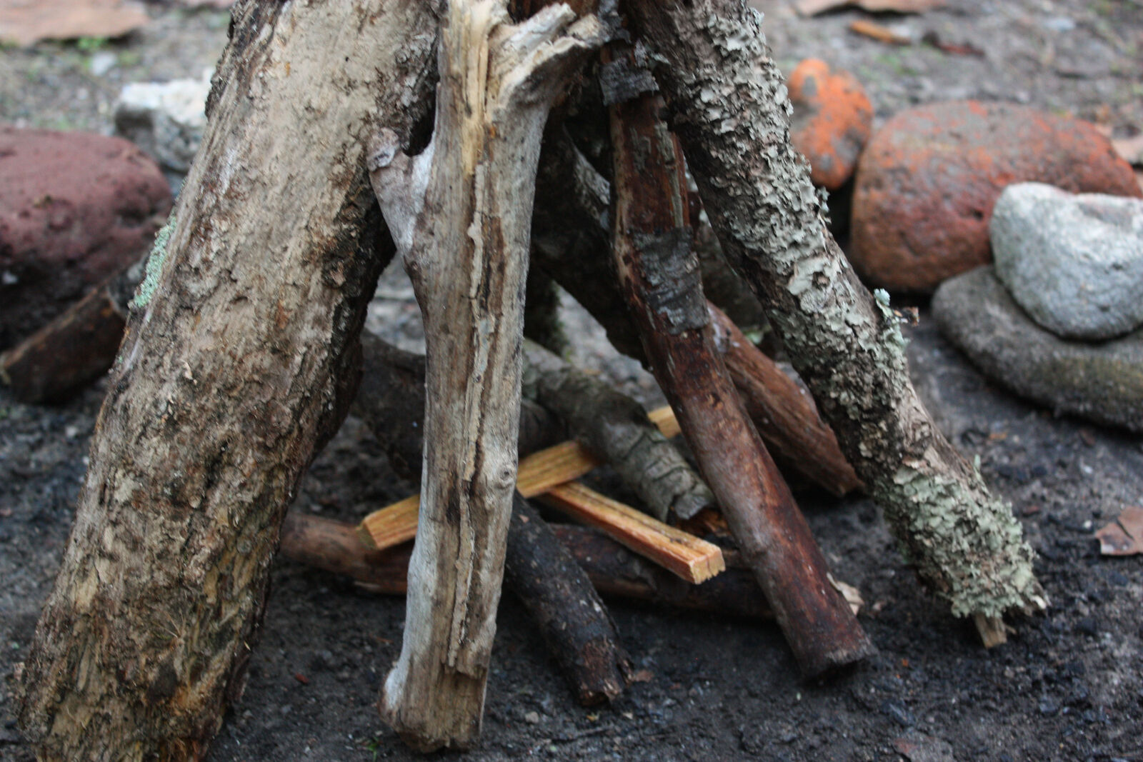 Betterwood Products 9987 Fatwood Natural Pine 5 Pound Wood Firestarter (2 Pack) - Fresh Stock Dated December 2025