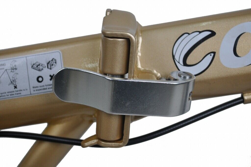 SAMPLE GOLD Columba 20