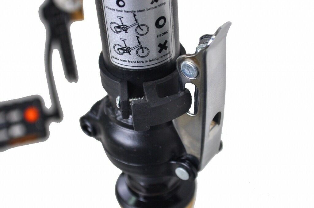 SAMPLE GOLD Columba 20