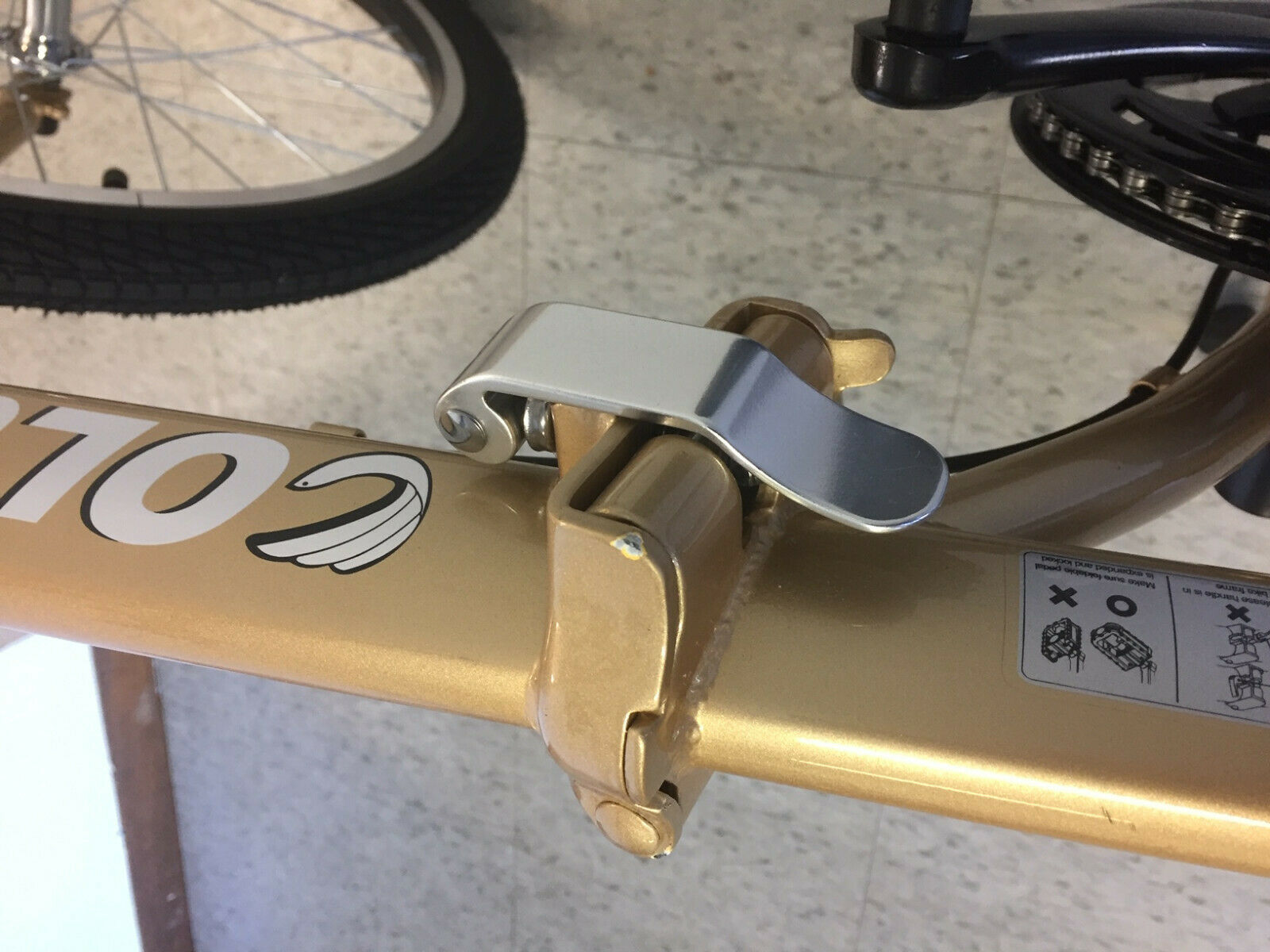 SAMPLE GOLD Columba 20