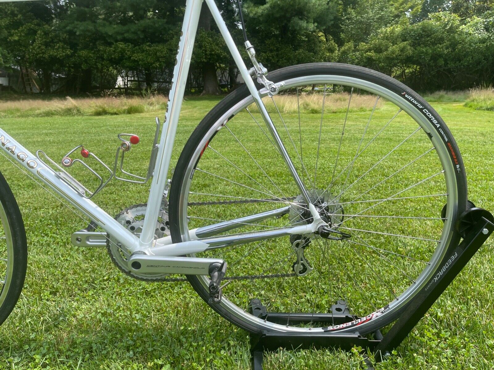 Colnago Arabesque - Fresh Stock Dated December 2025