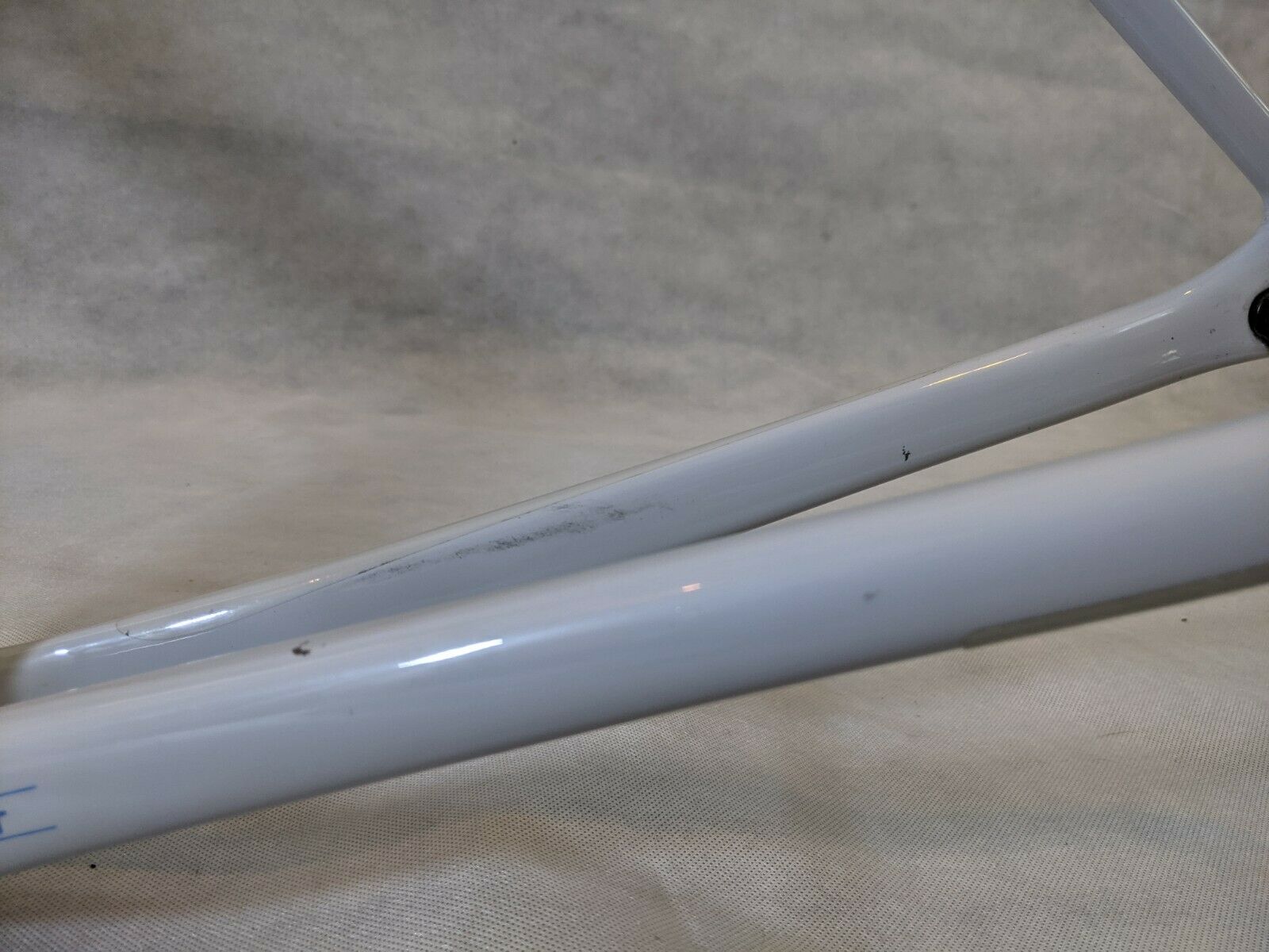 Specialized Roubaix 2019 56cm - Fresh Stock Dated December 2025