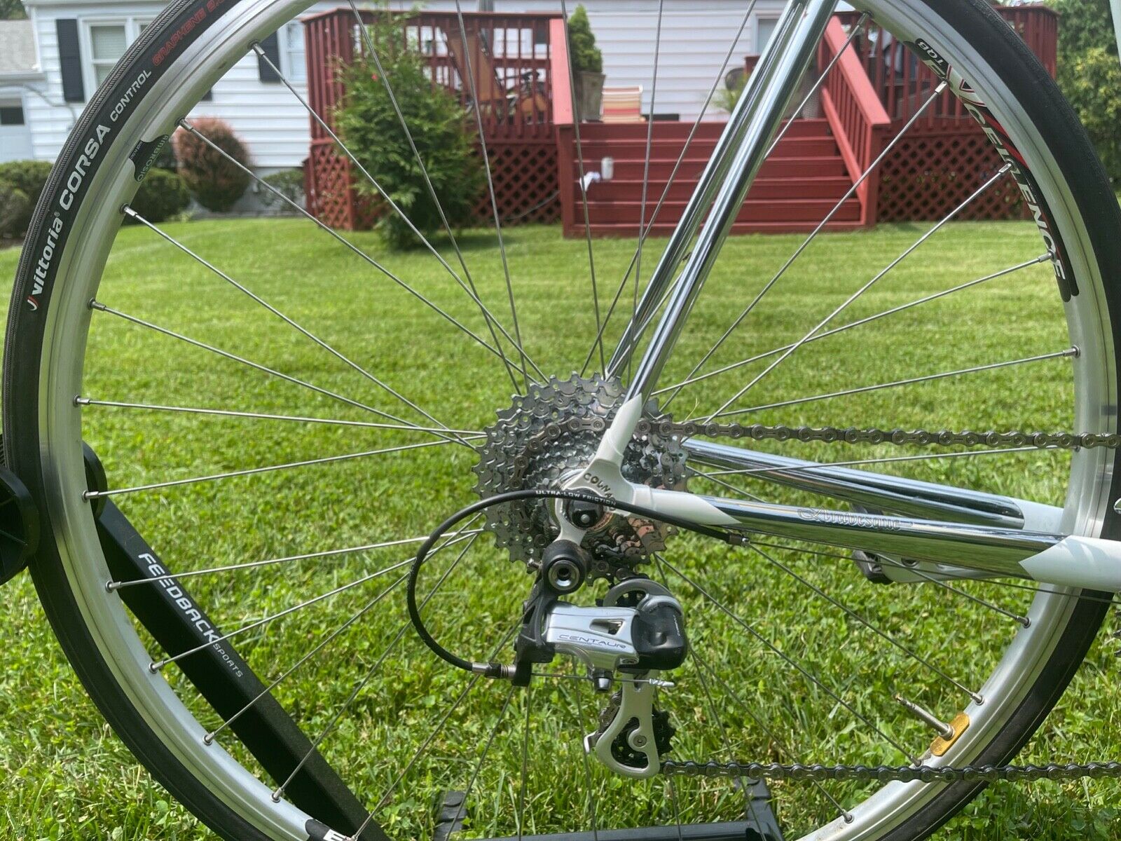 Colnago Arabesque - Fresh Stock Dated December 2025