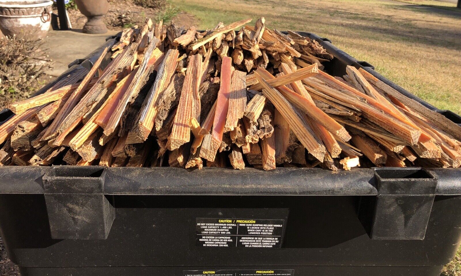 Fatwood, fat lighter, lighter wood, rich lighter, pine knot - Fresh Stock Dated December 2025