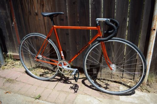 Panasonic Track Bike - Fresh Stock Dated December 2025