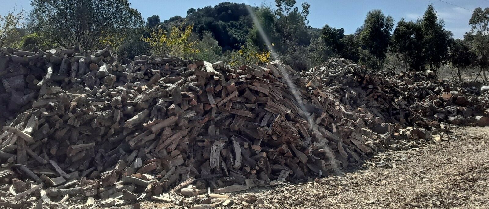 Seasoned Firewood : Oak, Avocado & Eucalyptus Split, Dry & Ready To Burn - Fresh Stock Dated December 2025