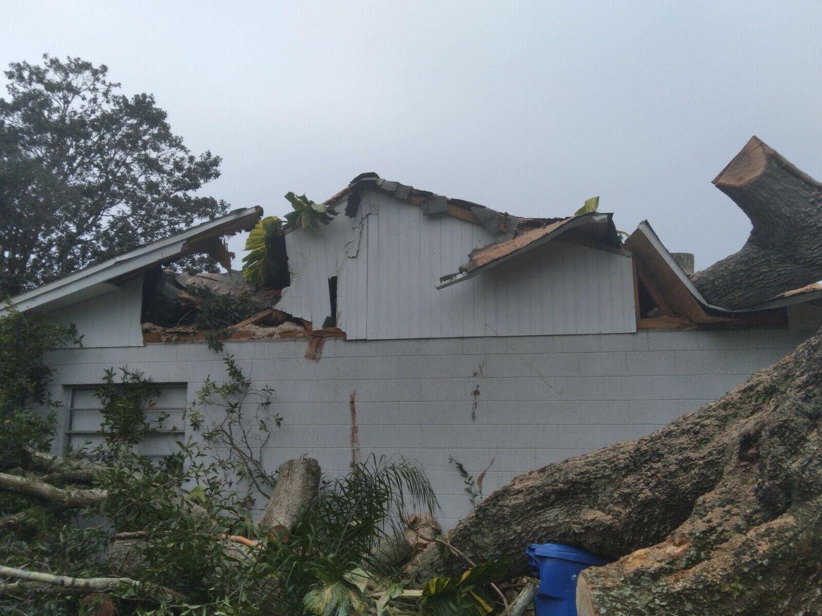 Firewood from Oak Tree disaster - Fell on House & Vehicles, No Insurance - Fresh Stock Dated December 2025