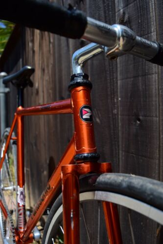 Panasonic Track Bike - Fresh Stock Dated December 2025