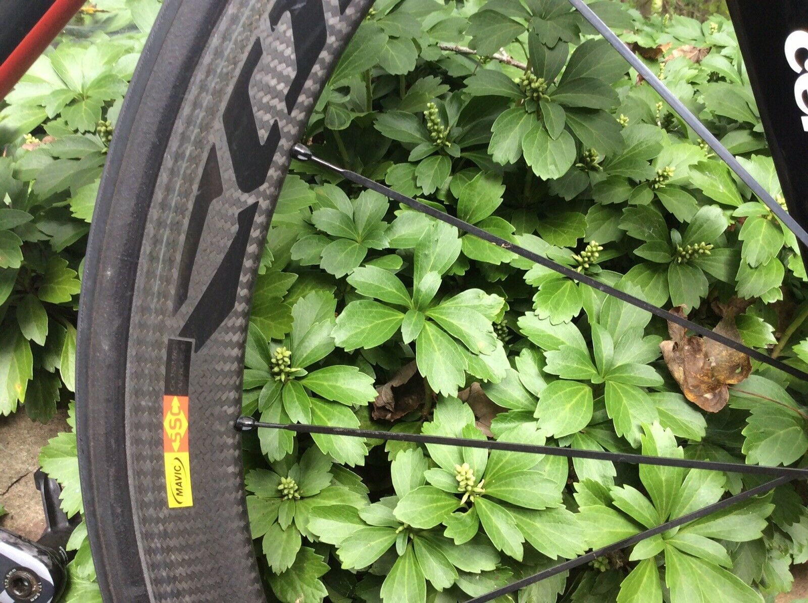 Superbike Cervelo S3 Road Bike - Fresh Stock Dated December 2025