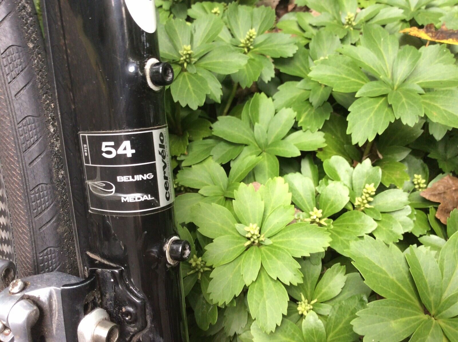 Superbike Cervelo S3 Road Bike - Fresh Stock Dated December 2025