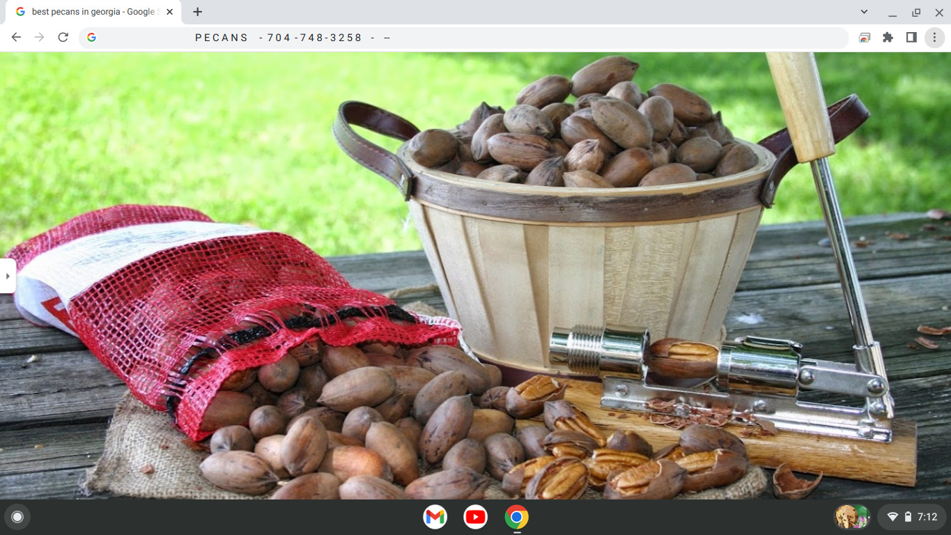 FIREWOOD ~ SEASONED - - ` POPLAR - &~ MAPLE MIX - Fresh Stock Dated January 2026