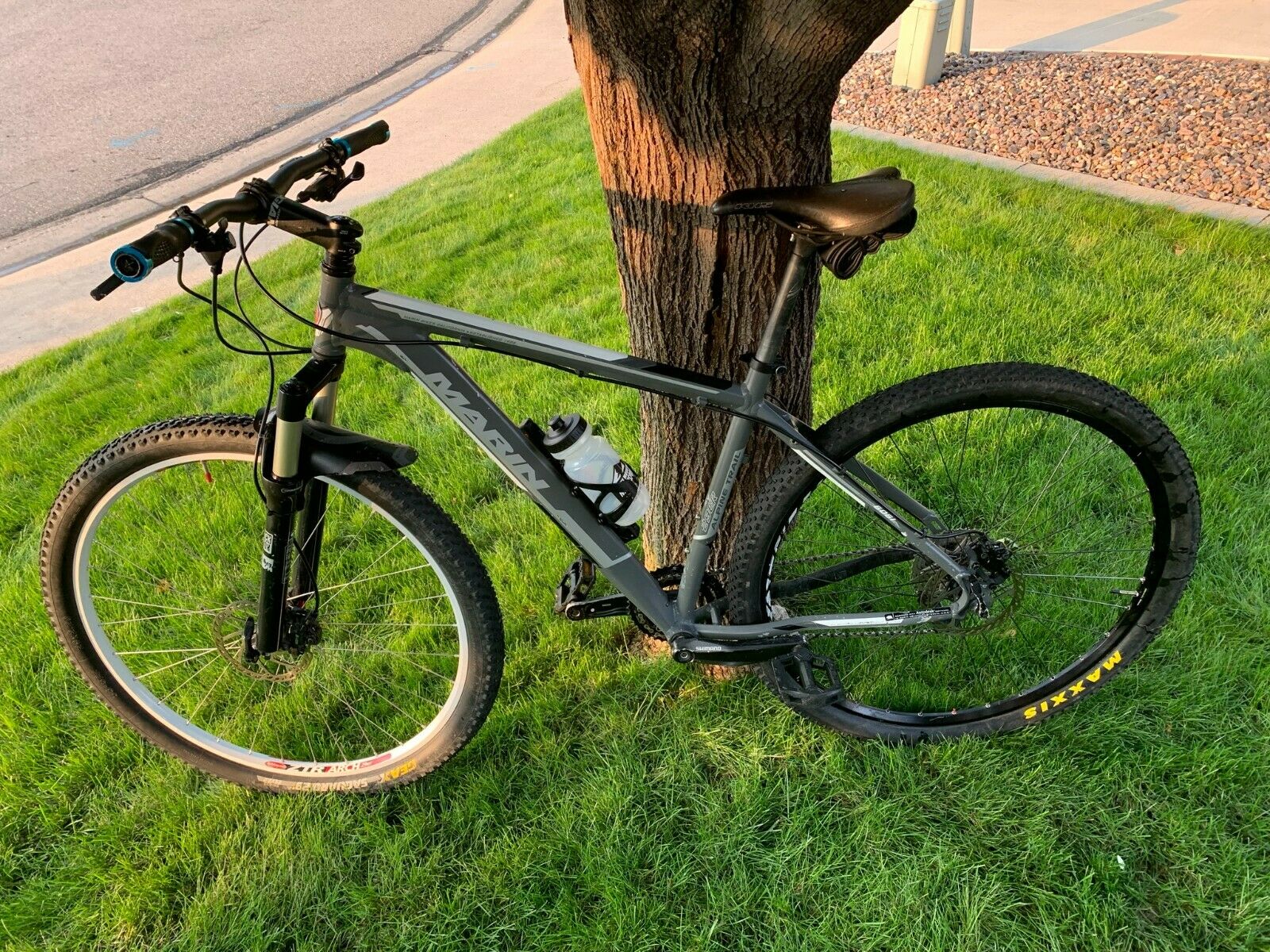 Marin Alpine Trail 29r Hardtail Mountain Bike MTB with extras - Fresh Stock Dated December 2025