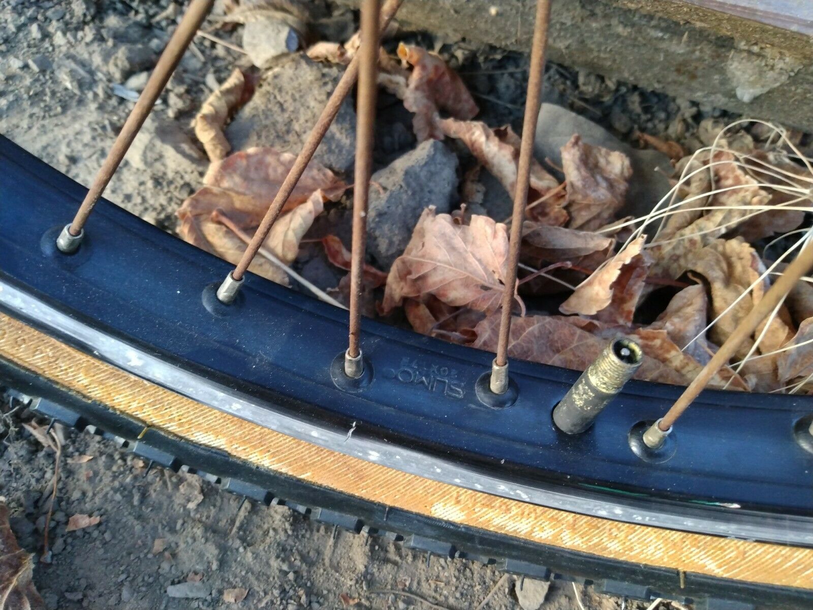 Rare  Bridgestone MK-II looptail Survivor 80's Old School BMX - Fresh Stock Dated December 2025