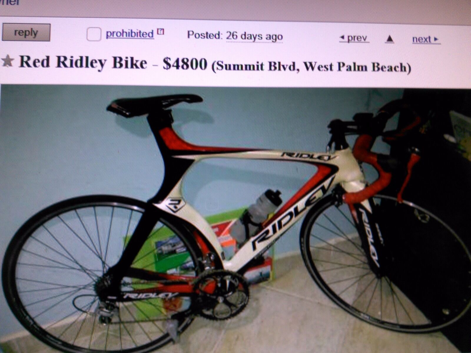 Ridley - Fresh Stock Dated December 2025