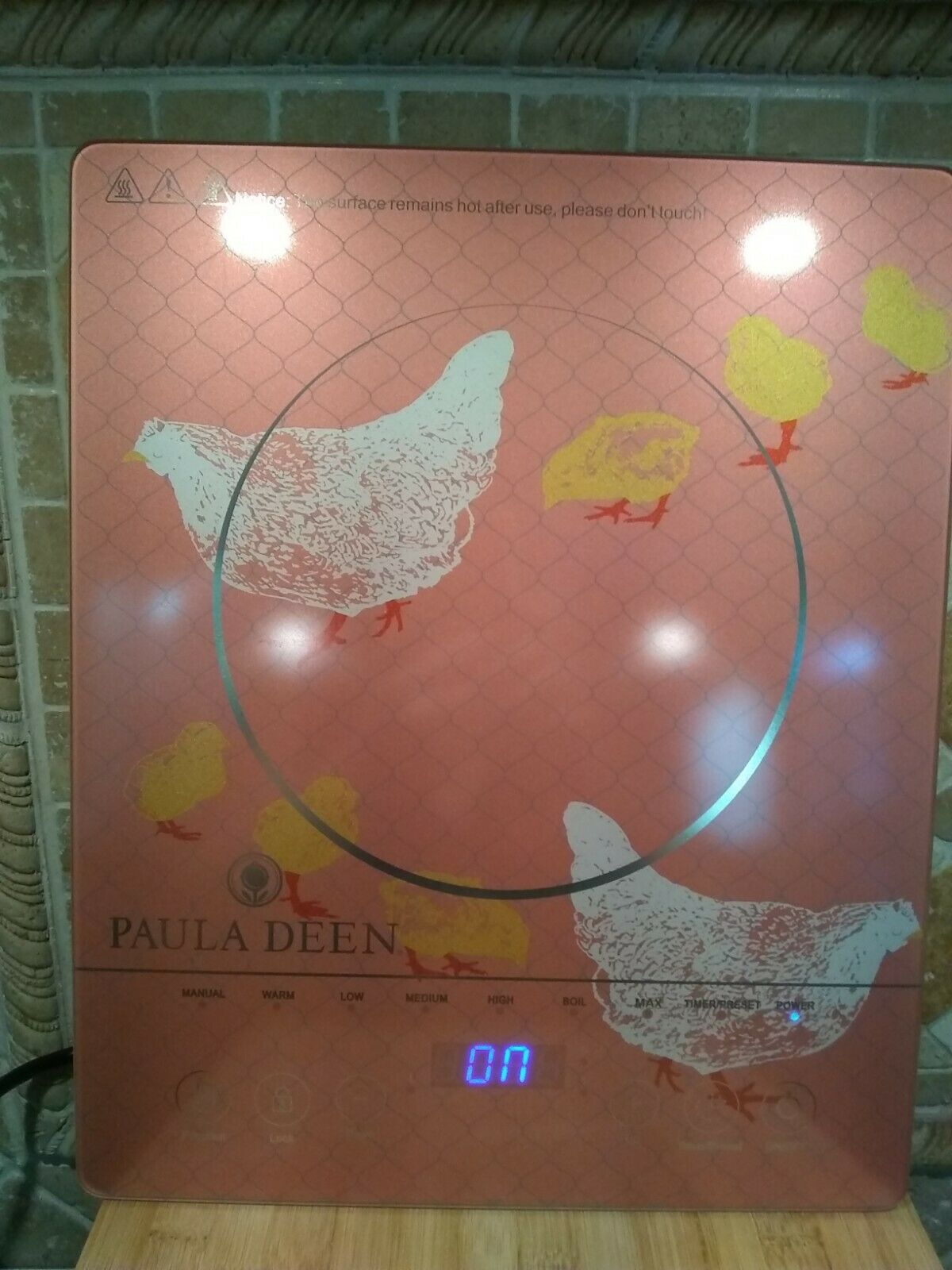 NEW Paula Deen 1500W LED Colored Glass Programmable Induction Cooker Hen Chicks - Fresh Stock Dated February 2026