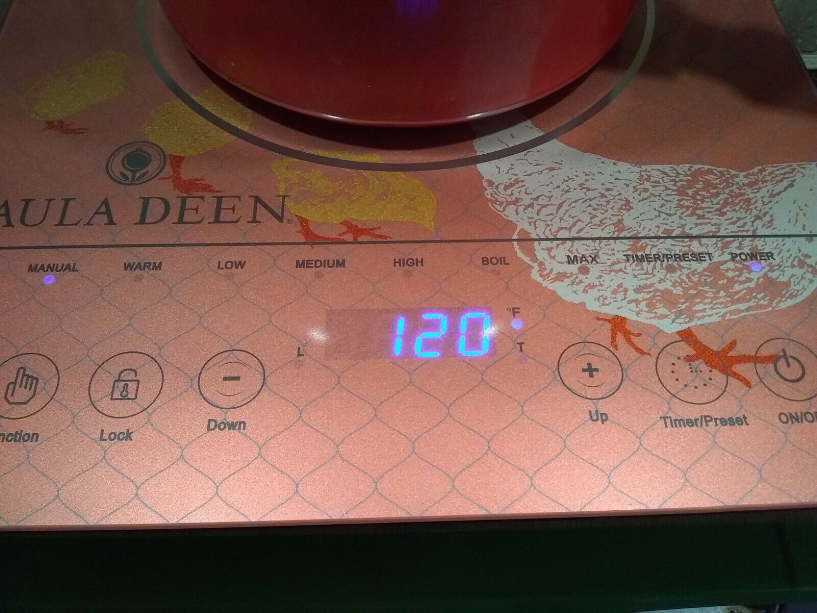 NEW Paula Deen 1500W LED Colored Glass Programmable Induction Cooker Hen Chicks - Fresh Stock Dated February 2026