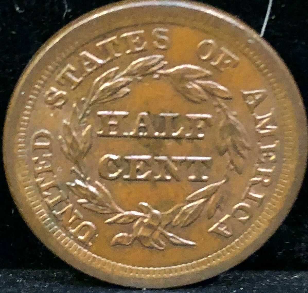 1855    Braided   Hair   HALF CENT      Cohen -  1      UNCIRCULATED - Fresh Stock Dated December 2025