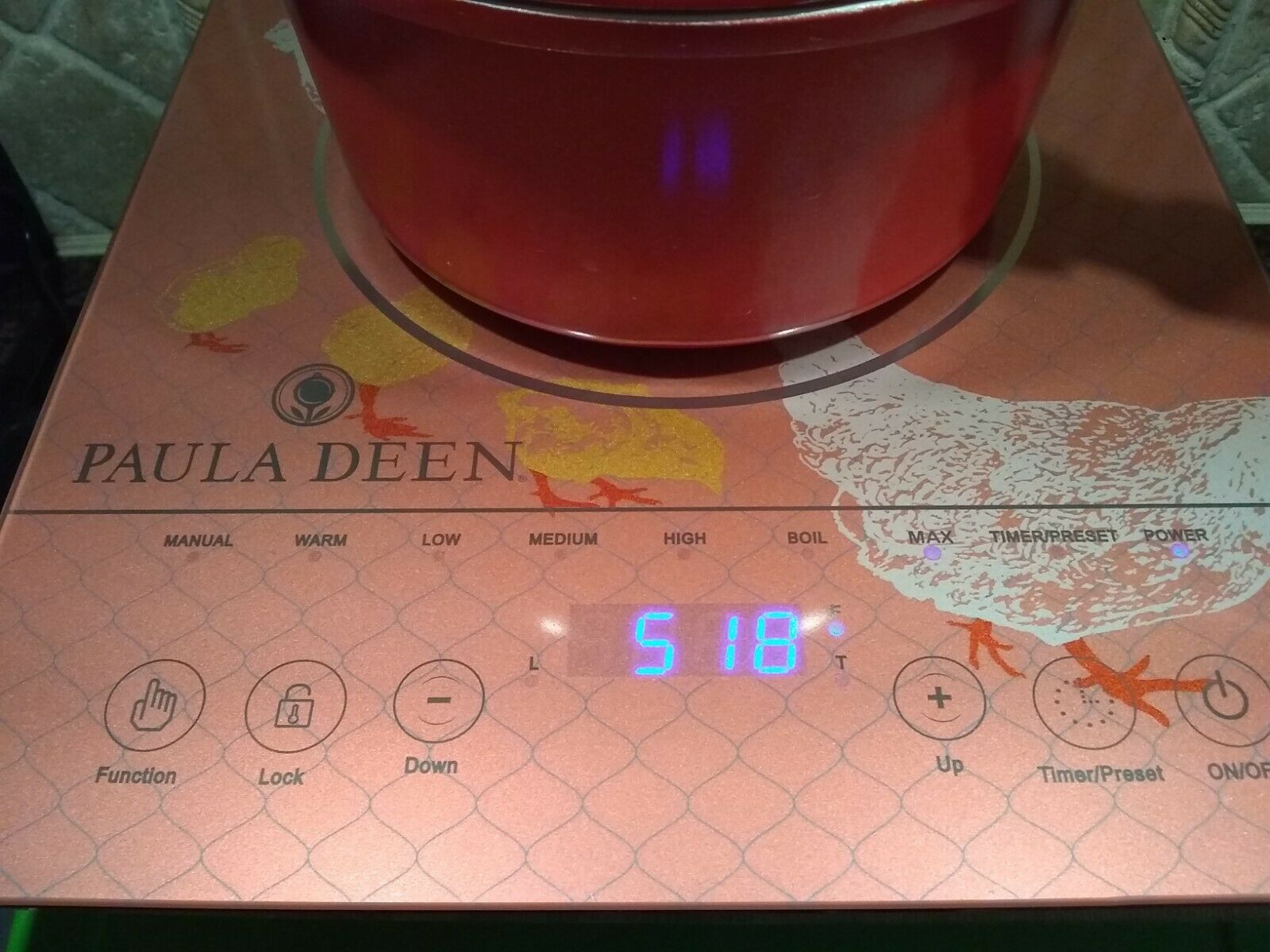 NEW Paula Deen 1500W LED Colored Glass Programmable Induction Cooker Hen Chicks - Fresh Stock Dated February 2026