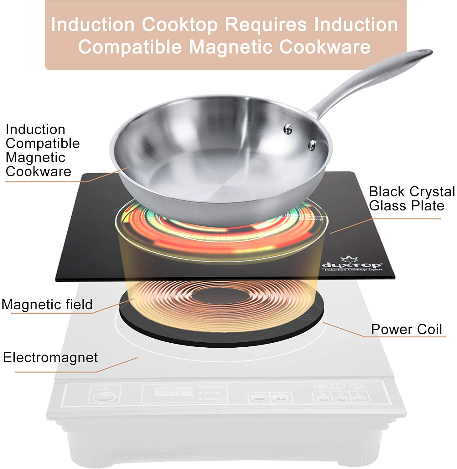 Electric Portable Induction Cooktop Countertop Burner 1800W, Black for Dorm & RV - Fresh Stock Dated February 2026