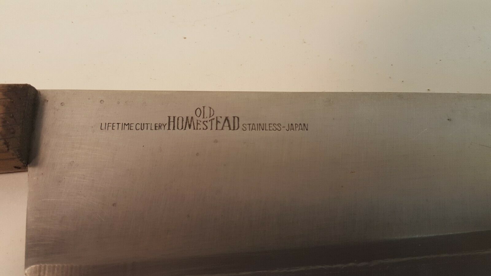 Old Homestead Stainless Full Tang 10