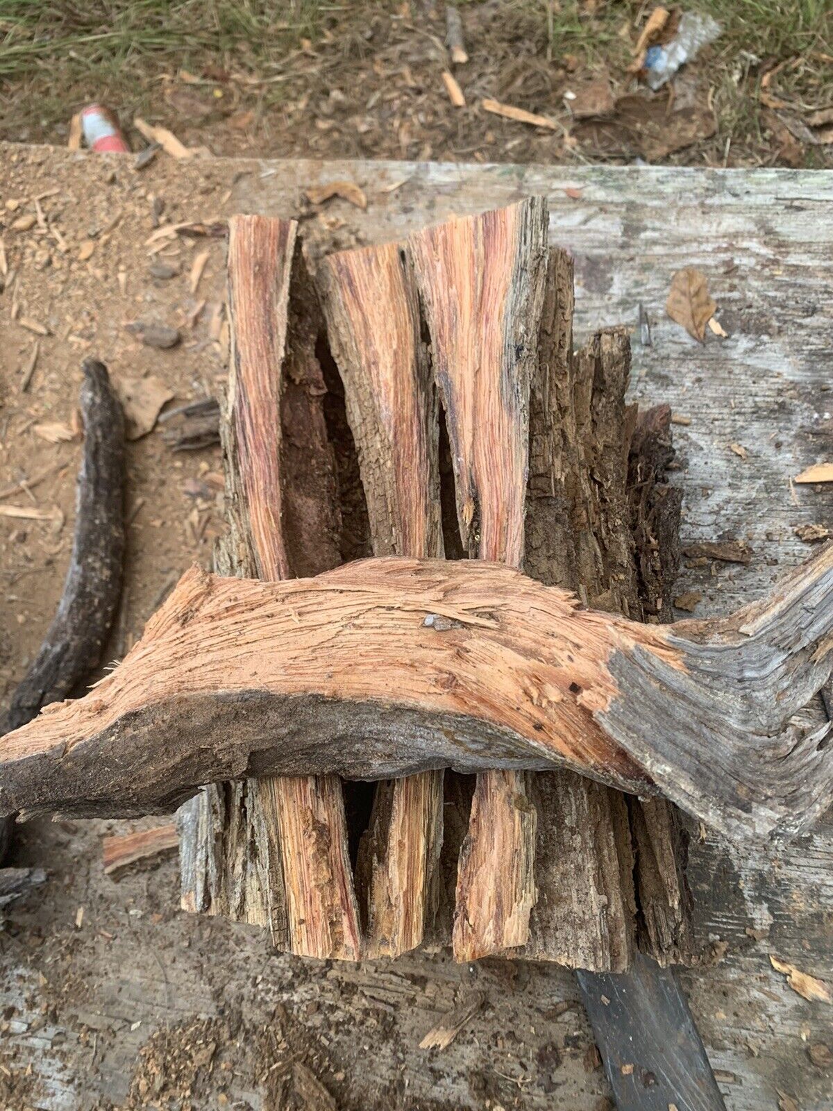 Fatwood 6LB Bundle Georgia Firestarter Sticky Kindling Fat Lighter Wood Fire - Fresh Stock Dated January 2026