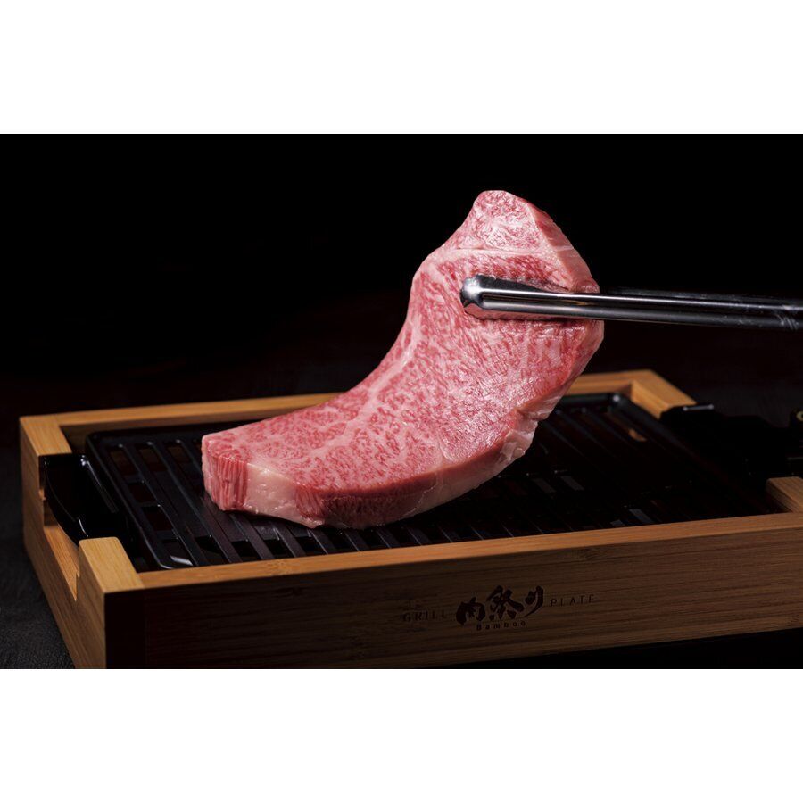 APIX Grill Hot Plate Roaster AGP-242(BB) Yakiniku AC100V Bamboo Japan DHL NEW - Fresh Stock Dated February 2026