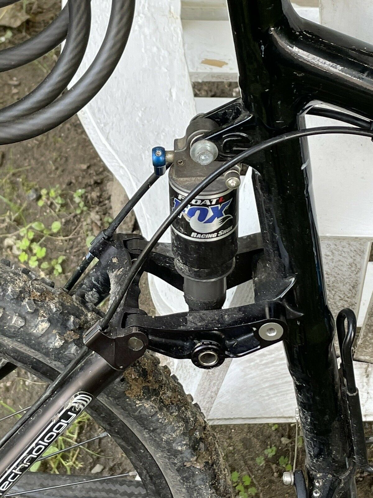 cannondale scalpel - Fresh Stock Dated December 2025