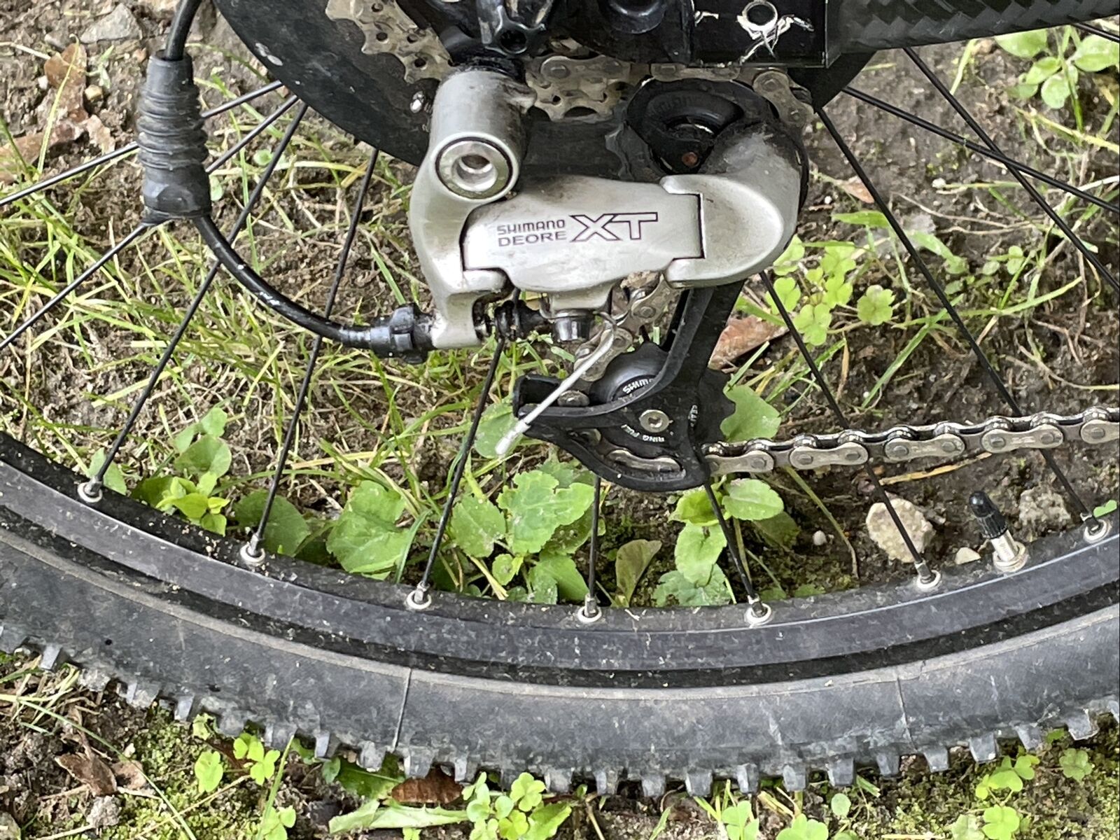 cannondale scalpel - Fresh Stock Dated December 2025