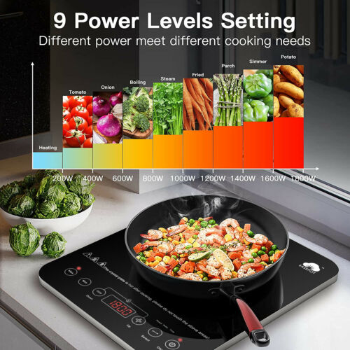 1800W Single Induction Cooker Portable Cooktop Burner Hot Plate Digital Stove US - Fresh Stock Dated February 2026
