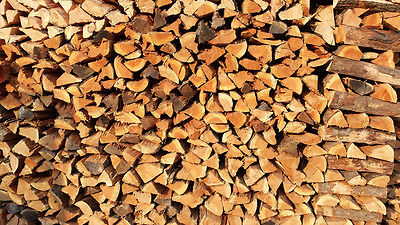 Firewood - Fresh Stock Dated December 2025