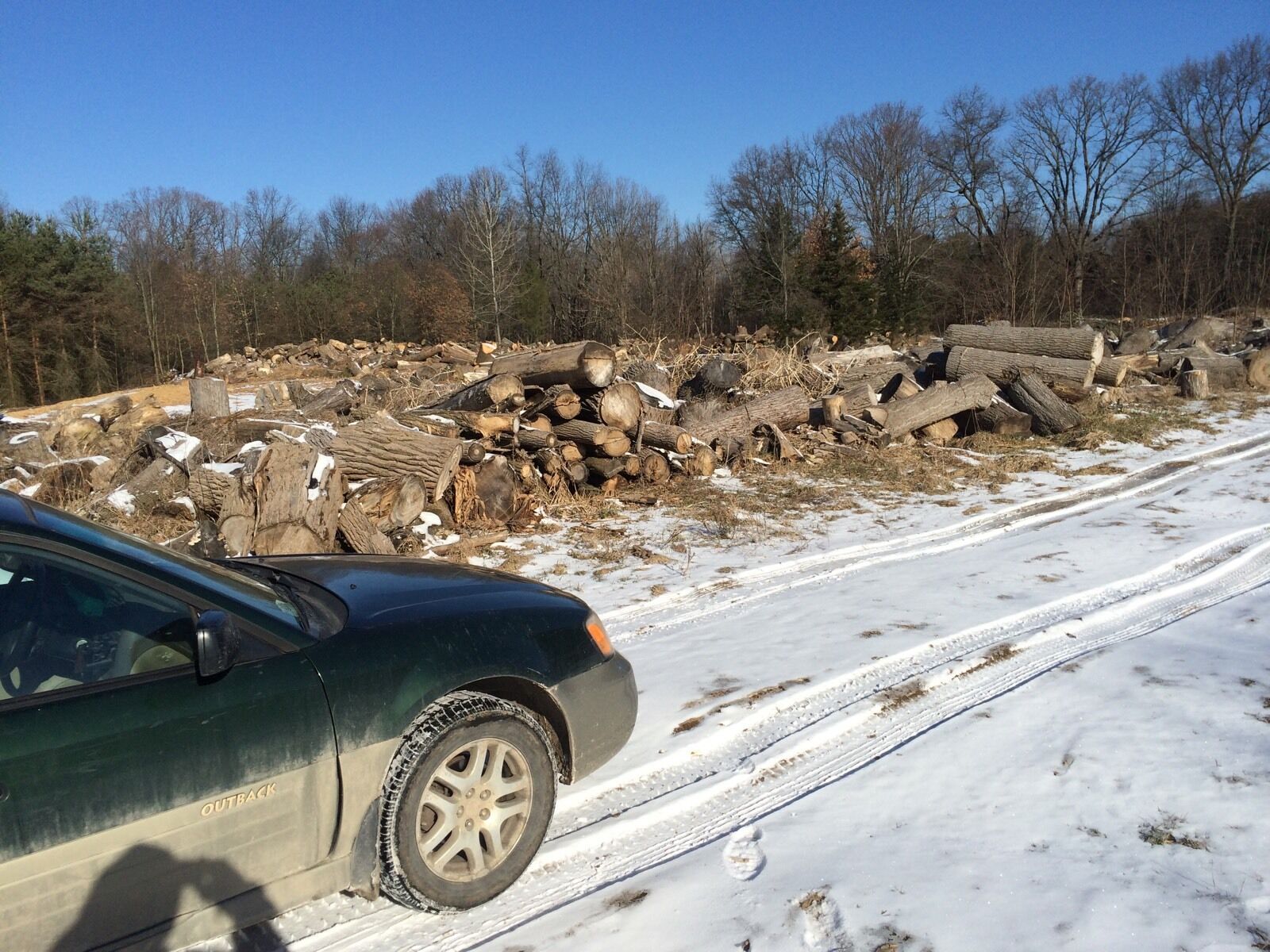 Firewood - Fresh Stock Dated January 2026