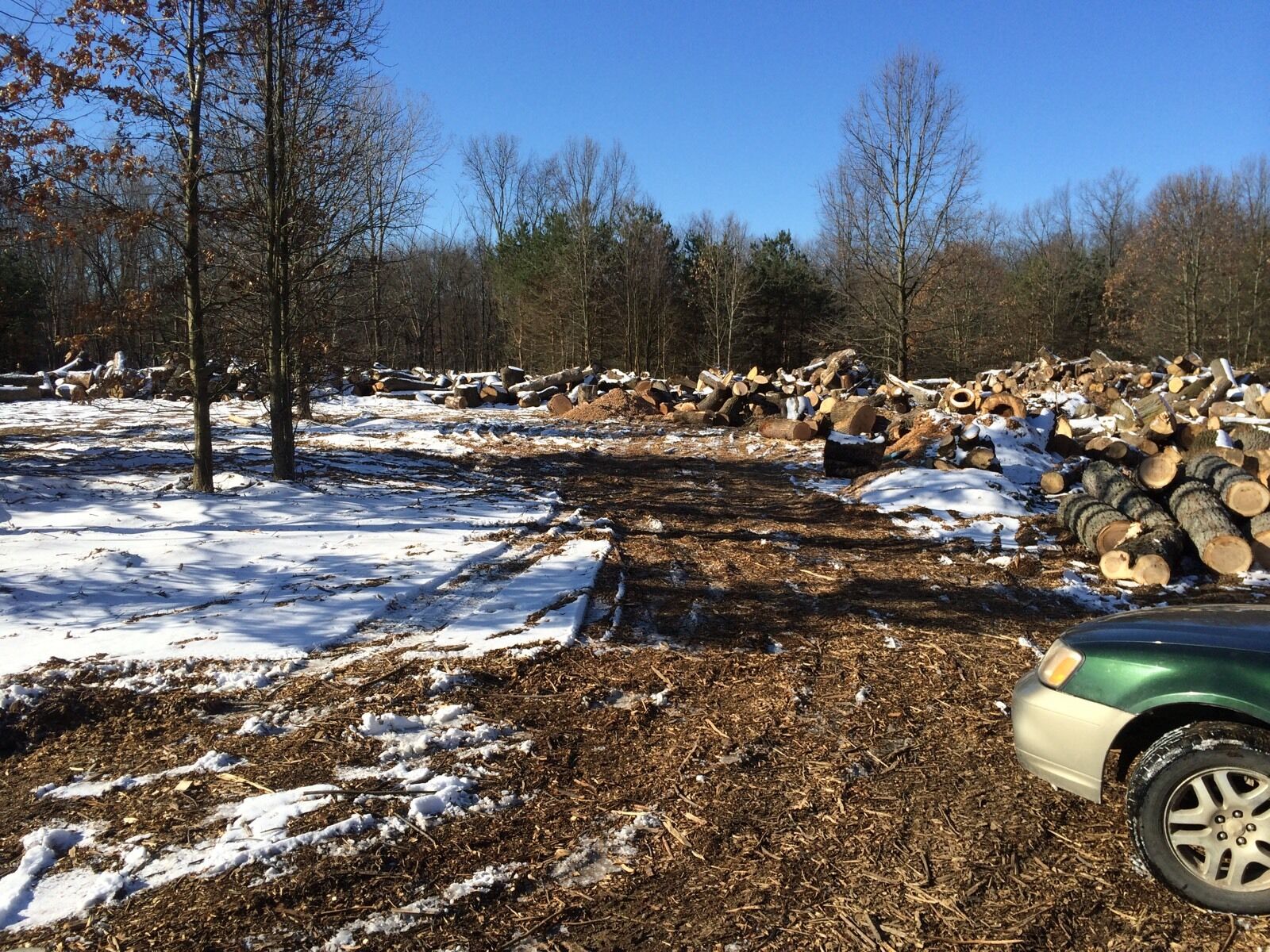 Firewood - Fresh Stock Dated January 2026