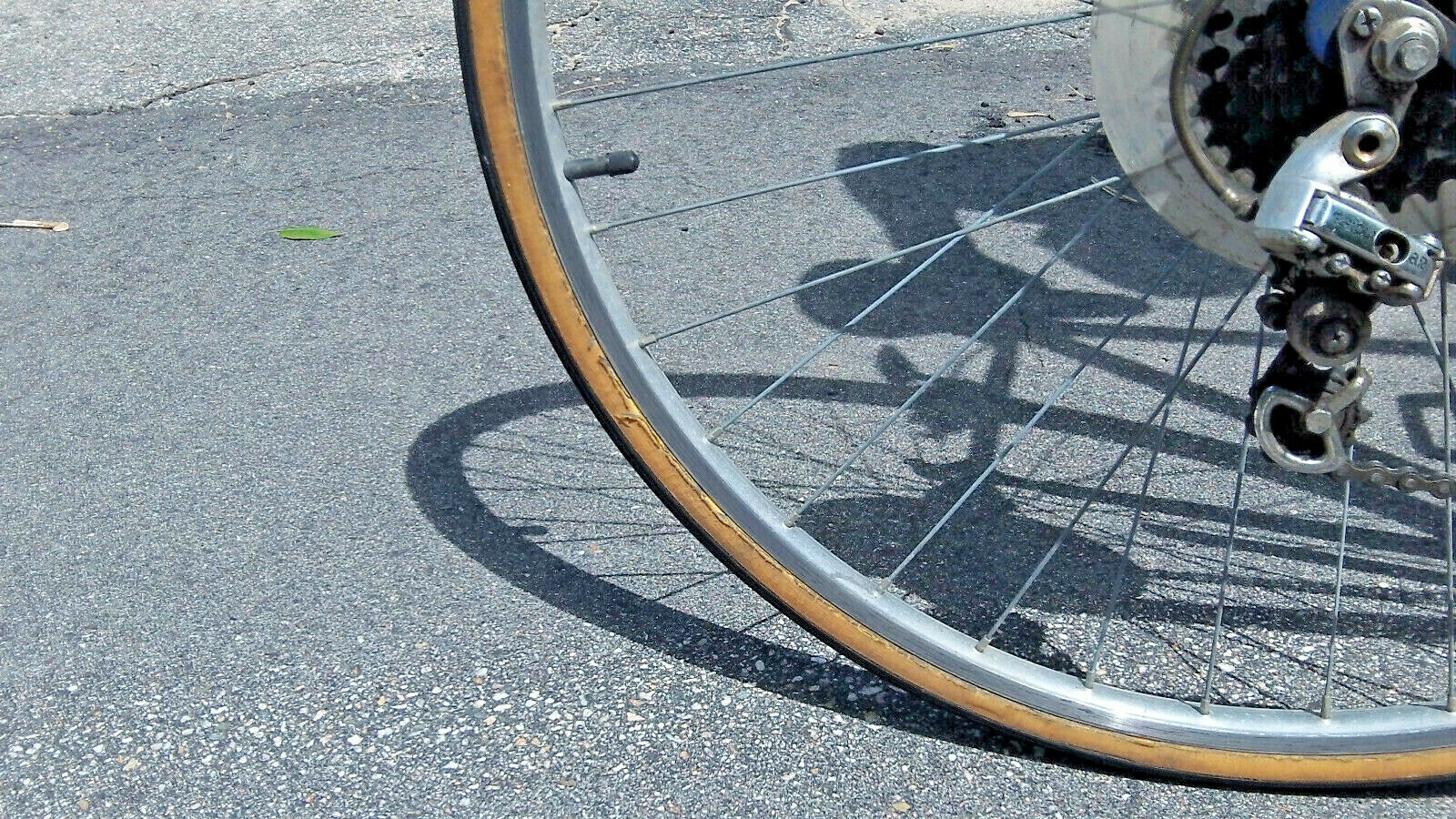 XXXL Schwinn World Sport Road Race Classic 10sp XXXL  27