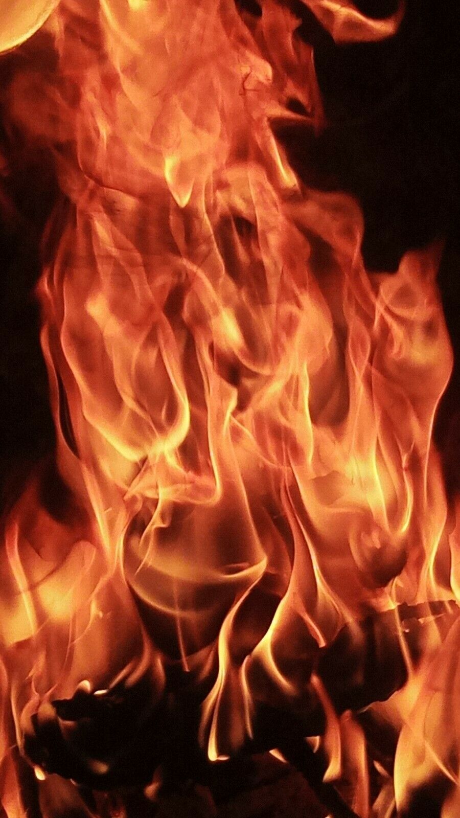 Fat lighter wood Heart Pine Kindling - Fresh Stock Dated January 2026