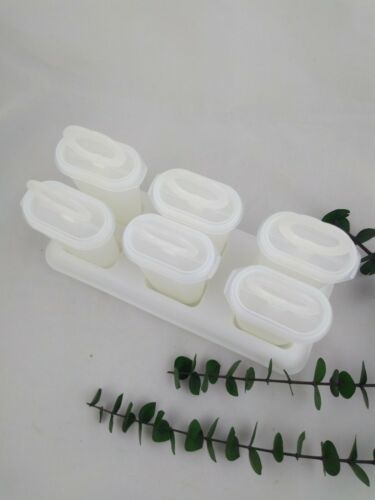 Tupperware Ice Tups Popsicle Maker Mold 6 with Base and 7 Handles - Fresh Stock Dated February 2026