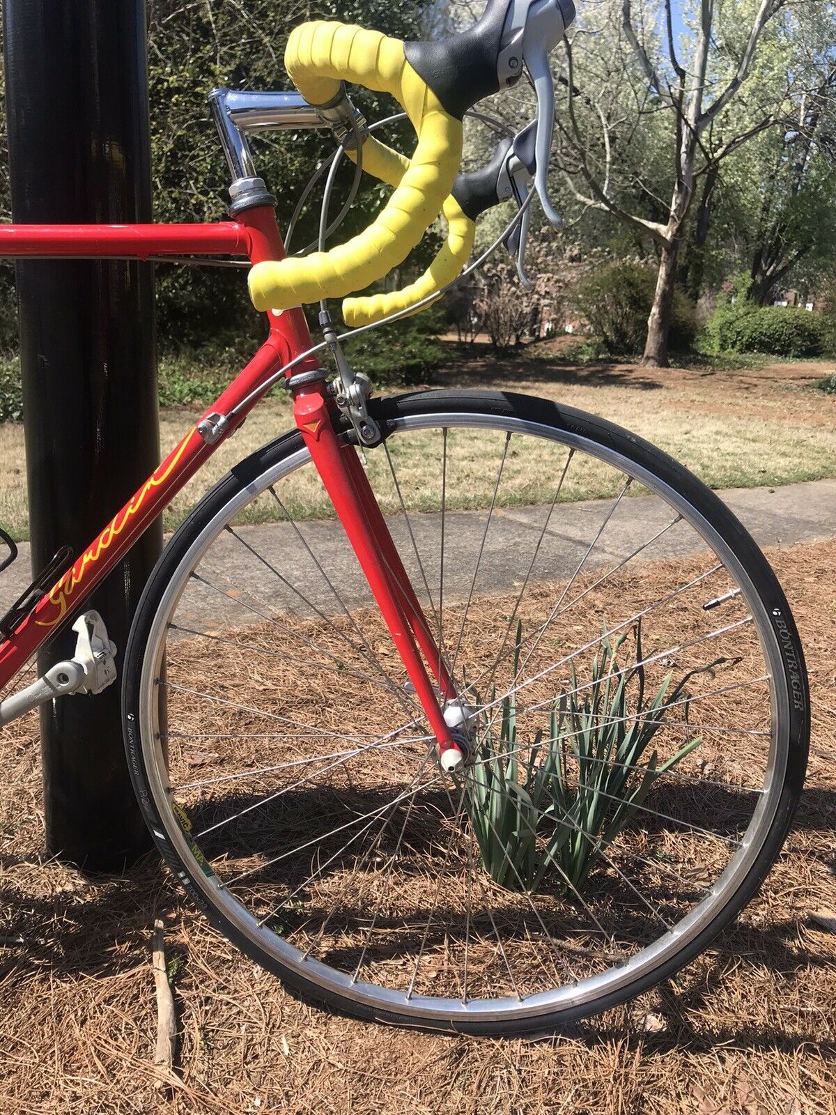 Joe Gardin Canada Road Bike With Shimano ! Near Mint Colnago Type Geometry Nice - Fresh Stock Dated December 2025