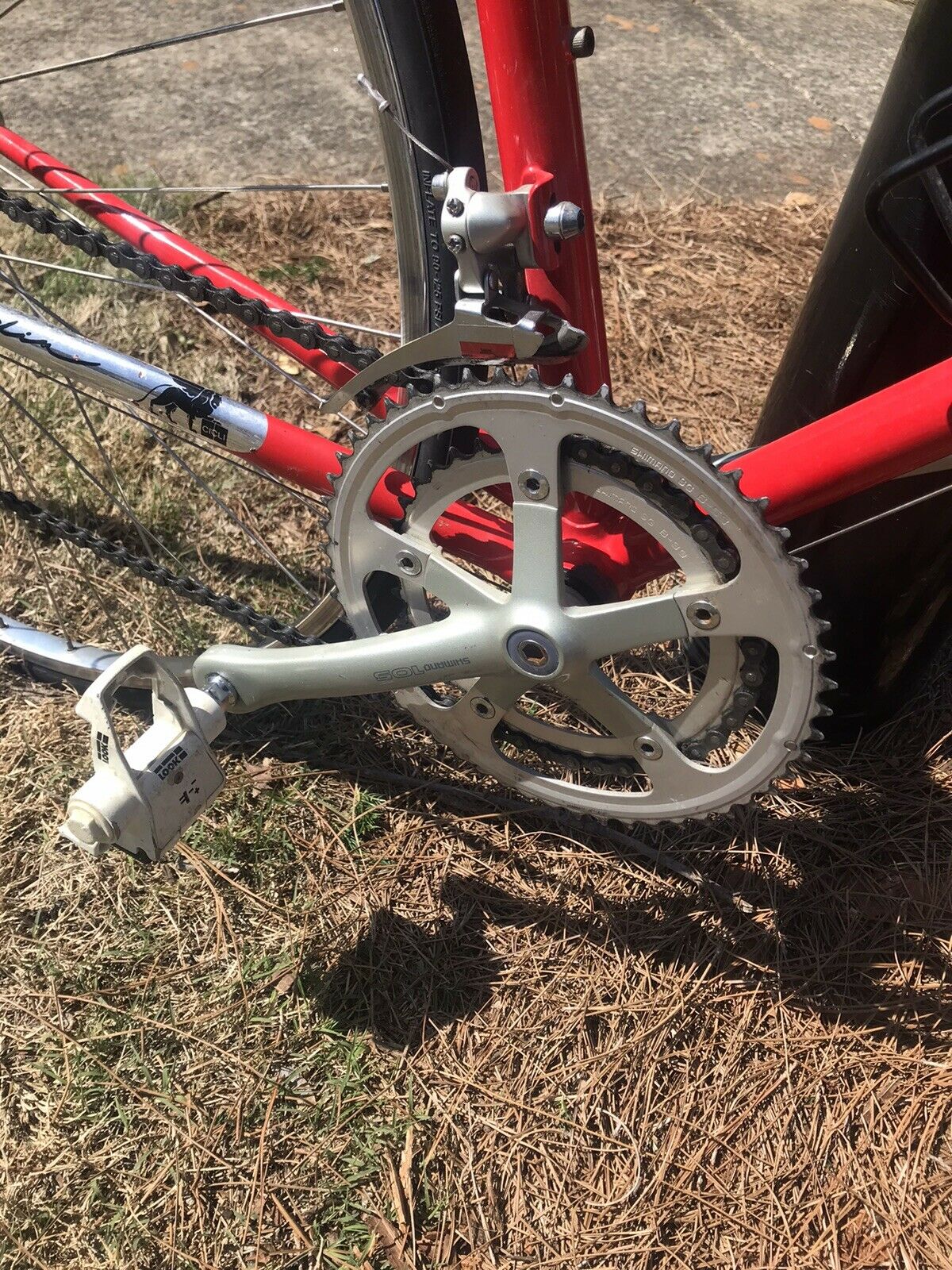 Joe Gardin Canada Road Bike With Shimano ! Near Mint Colnago Type Geometry Nice - Fresh Stock Dated December 2025