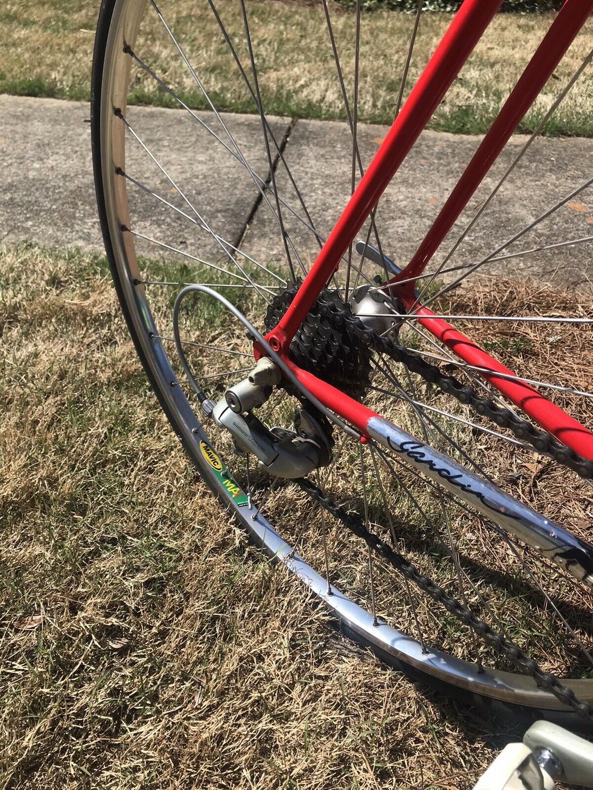 Joe Gardin Canada Road Bike With Shimano ! Near Mint Colnago Type Geometry Nice - Fresh Stock Dated December 2025